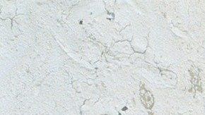 ijo está molesto por algo en particular? Los niños suelen tener dificultad para expresar lo que les sucede o no saben por qué se sienten tristes o enojados.