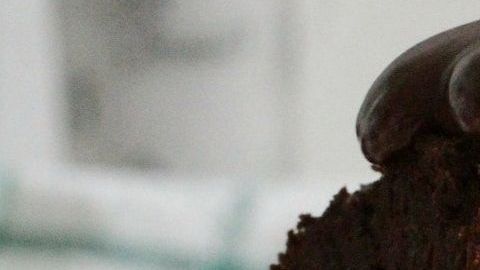 chocolate-Marta Dzedyshko en Pexels