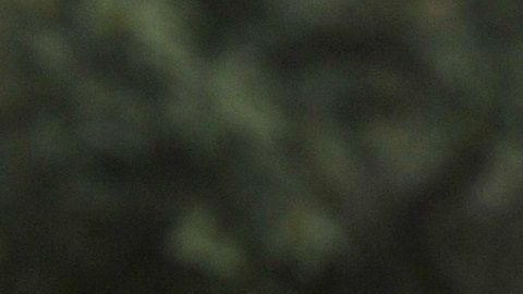 Hector Chumpitaz, leyenda del fútbol peruano.