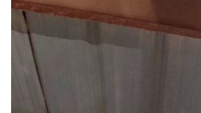 Ciudadanía en tiempos de COVID-19