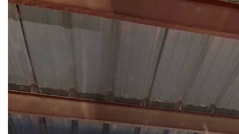 Ciudadanía en tiempos de COVID-19