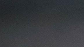 Durante varios minutos se puede ver sufrir al animal.