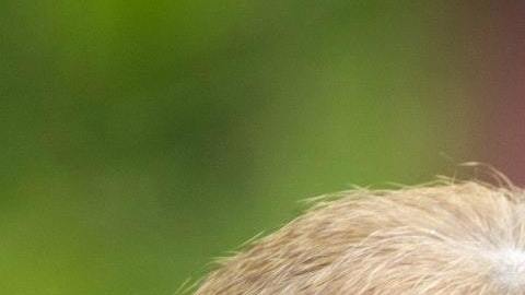 El mono estaba adiestrado para hacer un show.