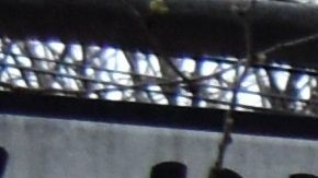 Reapertura en Nueva York