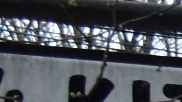 Reapertura en Nueva York