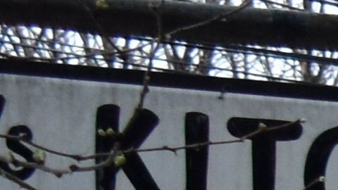 Reapertura en Nueva York