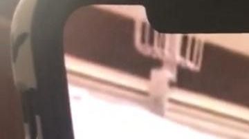 Gabino Lugo de 72 años, sobrevivió al coronavirus. (Cortesía Carmen Lugo)