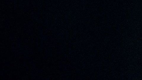 Joe Biden tomó a su favor los argumentos de la republicana.