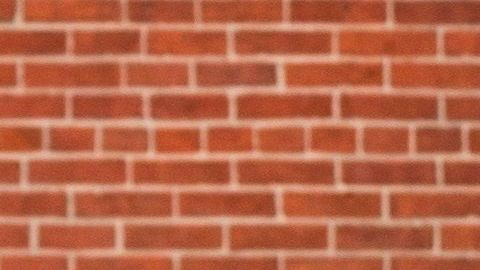 Protesta para reabrir la economía