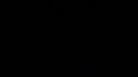 beckham ropa interior