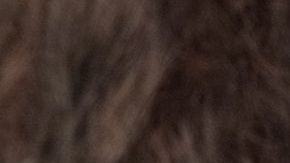 Las tarjetas de débito para pagos de nóminas están cargadas de comisiones./Shutterstock