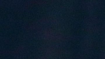 Sergiño Dest, seleccionado de Estados Unidos.