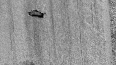 Aunque parece una imagen desoladora, la historia es completamente otra.