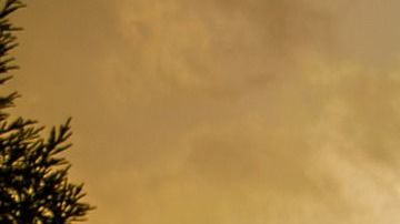 El horóscopo chino se basa en 5 elementos.