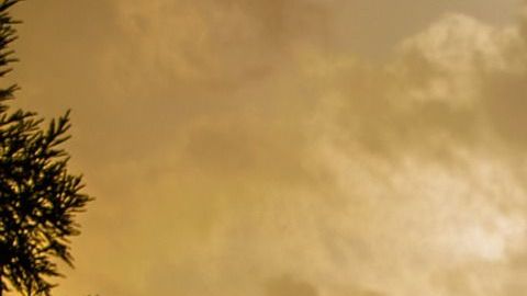 El horóscopo chino se basa en 5 elementos.