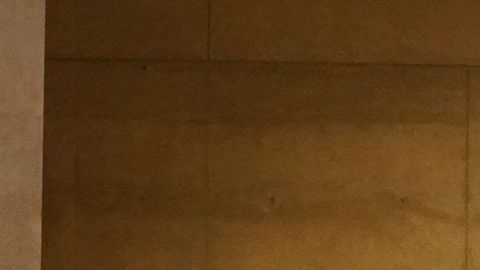 Durante la pandemia las iglesias están celebrando sus misas sin feligreses presentes en persona. Las ceremonias religiosas son transmitidas en las redes sociales. (Catedral de Los Ángeles)