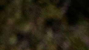 Todos los estados del país han empezado a rebajar sus restricciones.