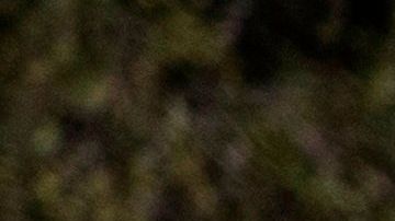 Todos los estados del país han empezado a rebajar sus restricciones.