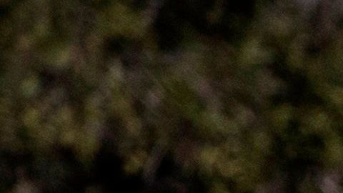 Todos los estados del país han empezado a rebajar sus restricciones.