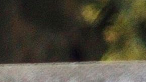 Casi 27,000 personas han muerto solo en el estado de Nueva York.