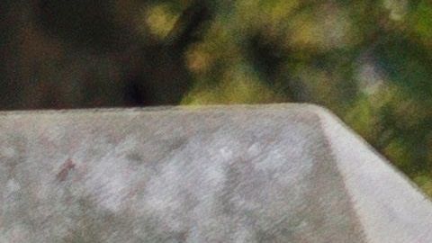 Casi 27,000 personas han muerto solo en el estado de Nueva York.