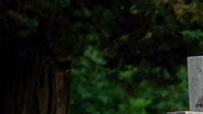 En algunos podrías ganar casi $60 mil dólares al año.