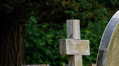 En algunos podrías ganar casi $60 mil dólares al año.