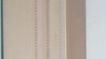 La mayoría de las empresas latinas son jóvenes y tienen gestores también muy jóvenes./Shutterstock