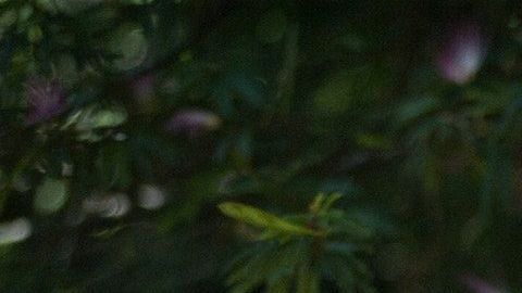 Aprende a enviar energías positivas a la distancia.