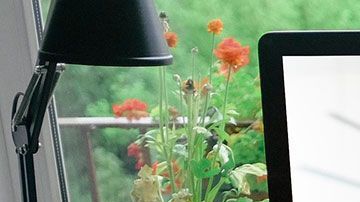 Ahora podrían ser más común este tipo de entrevistas.