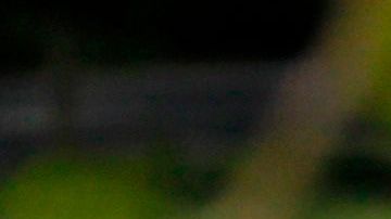 Grupos de personas sin máscaras y sin seguir el distanciamiento social en el Parque Central de NY.