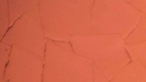 Un 50% de los encuestados opina que después de la pandemia la relación con sus hijos cambiará a mejor.