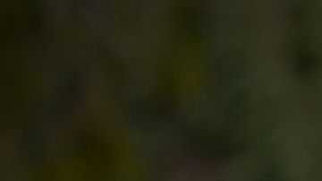 Hay estrategias que ayudan a vencer o al menos reducir este apego, por ejemplo asegurarse que las rutinas y horarios diarios incluyan momentos entre los niños y los padres.