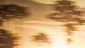 Ford GT 
Crédito: Cortesía Ford