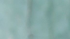 Las cerezas son buenas para bajar y prevenir la inflamación.