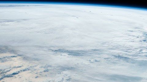 Puedes aplicar a través de la página web de la institución.