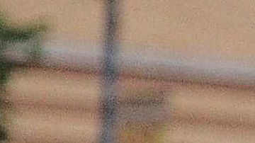 Los Panthers del Harrison Park abrieron las inscripciones para la nueva liga de futbol americano.