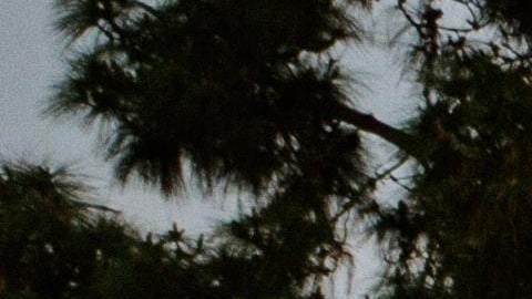 Cementerio de veteranos en San Diego. Imagen ilustrativa.