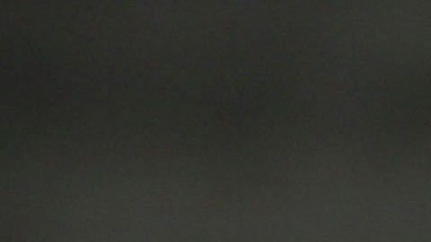 Las peleas de gallos son ilegales en los 50 estados del país.