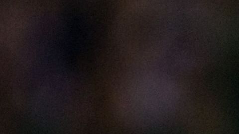 Jared Borgetti, máximo goleador del Tri junto a Chicharito. Ambos tienen 46 goles.