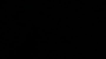 Decenas de millones de estadounidenses tendrían que esperar más tiempo para obtener la asistencia.