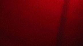 Teófimo López, nueva estrella del boxeo.