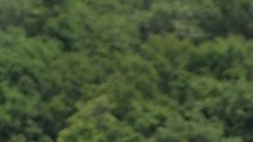 Las inundaciones por crecidas del Mississippi afectan desde junio.