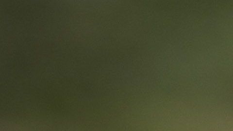 Cinta policial en escena de crimen. Imagen ilustrativa.