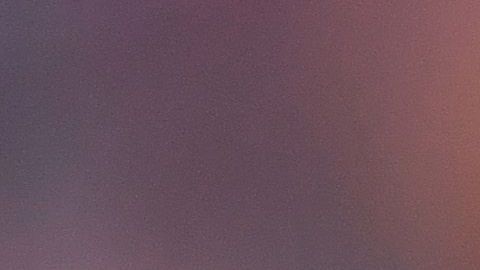 Los ladrones se llevaron todo lo que había en la caja fuerte