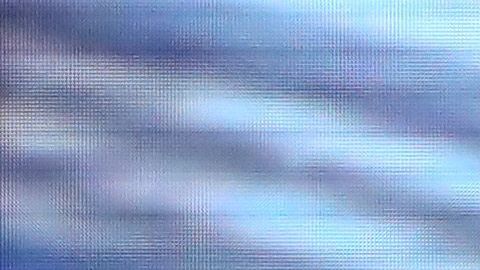 Kamala Harris apoyó recientemente a Biden