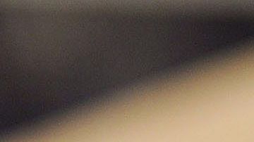 Imagen de un cheque del Departamento del Tesoro.