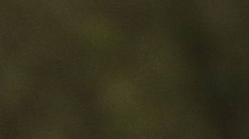 En el estado Washington un empleado de USCIS fue detectado con el virus