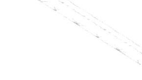 Los Lakers de Los Ángeles podrán realizar prácticas escalonadas y en grupos pequeños.