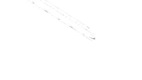 Los Lakers de Los Ángeles podrán realizar prácticas escalonadas y en grupos pequeños.